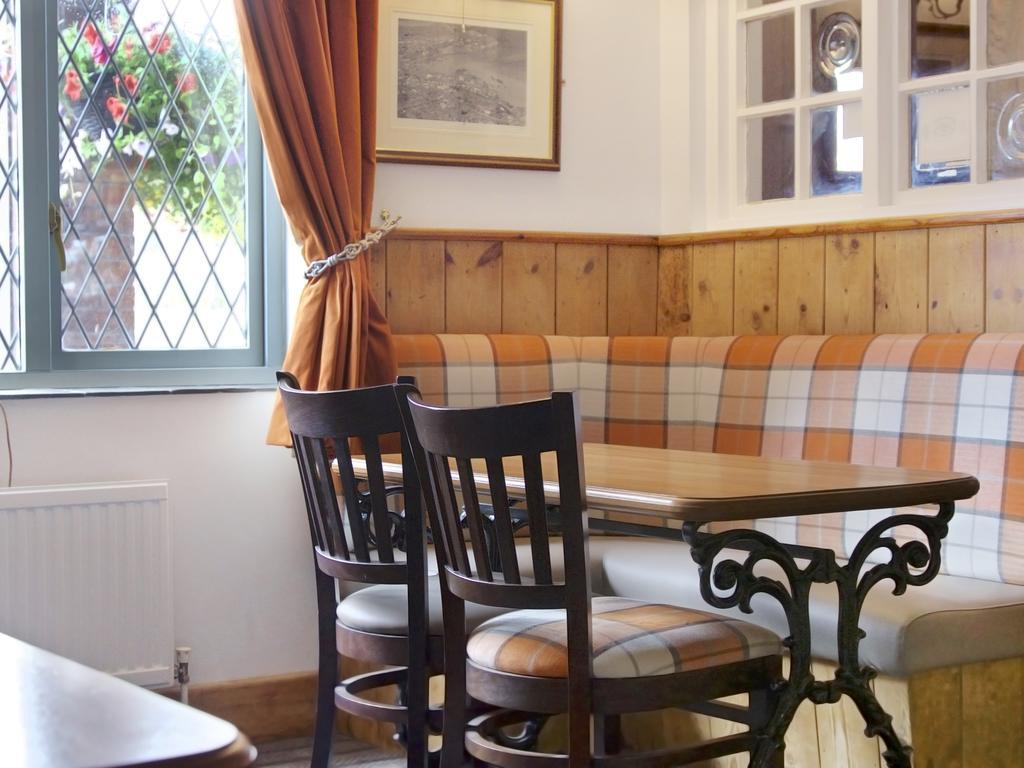 Griffin Inn New Quay Kültér fotó